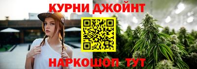 крисы Ирбит