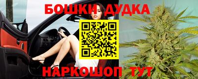 крисы Кандалакша