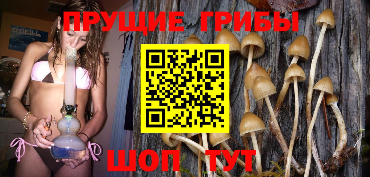 Псилоцибиновые грибы GOLDEN TEACHER  Вход с VPN  где можно купить   Энгельс 