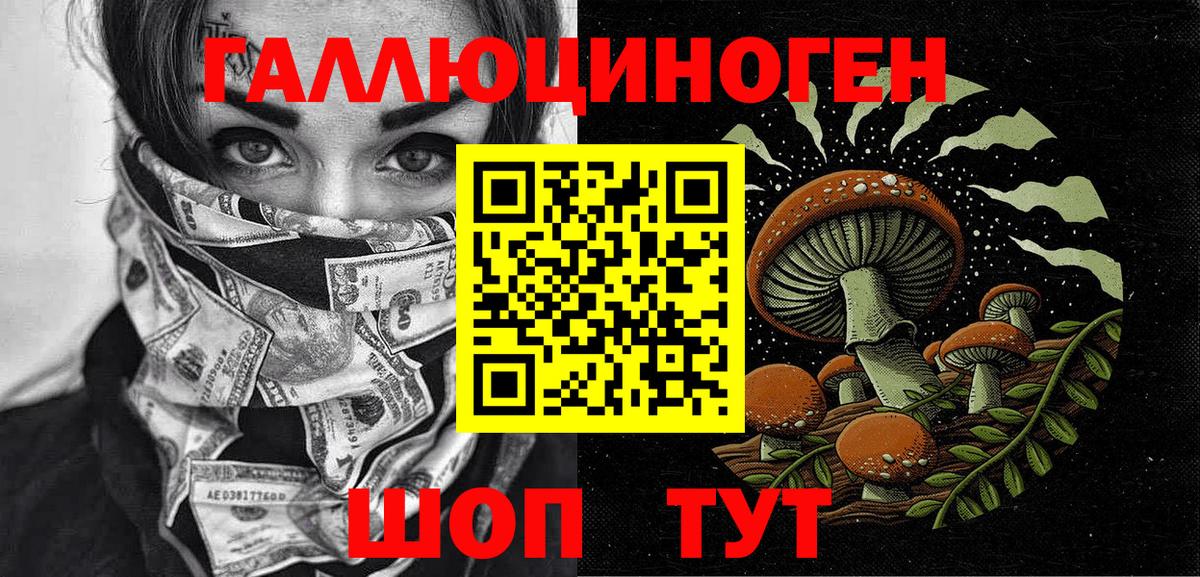 Псилоцибиновые грибы GOLDEN TEACHER Энгельс